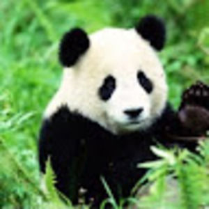 Meet your Posher, Arly